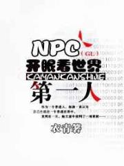 NPC开眼看世界第一人（GL）