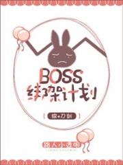 Boss绑架计划[综]